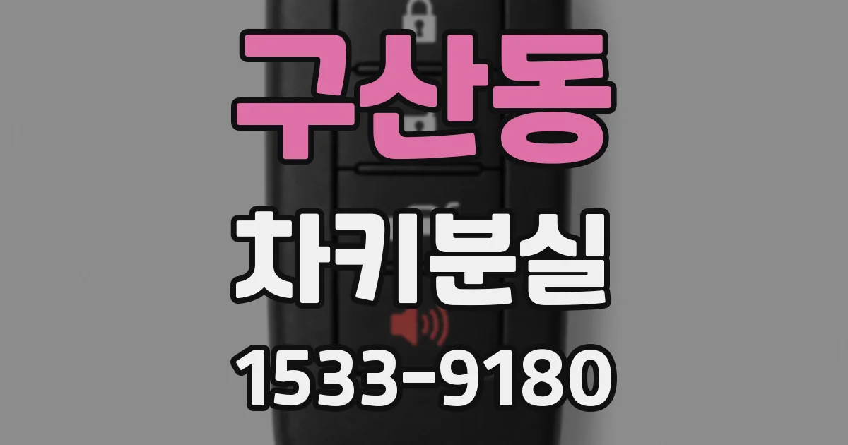 구산동 차키분실