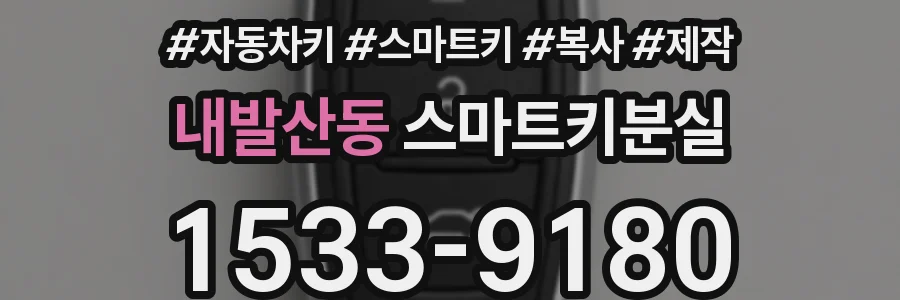 내발산동 스마트키분실