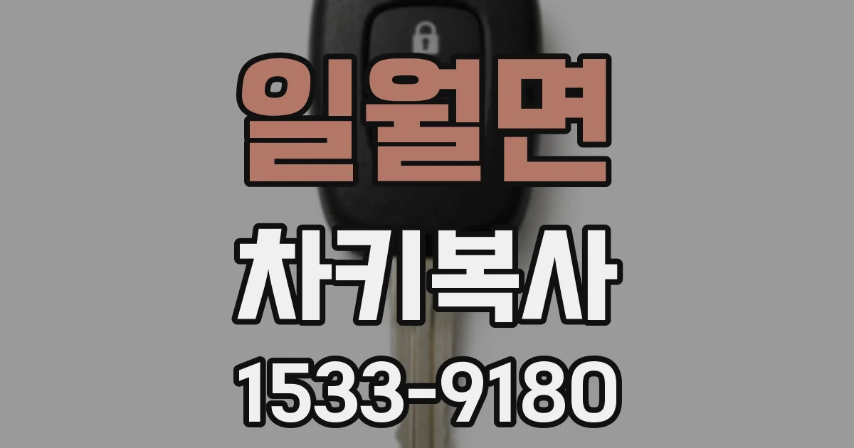 일월면 차키복사