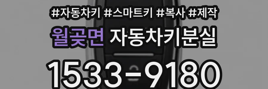 월곶면 자동차키분실