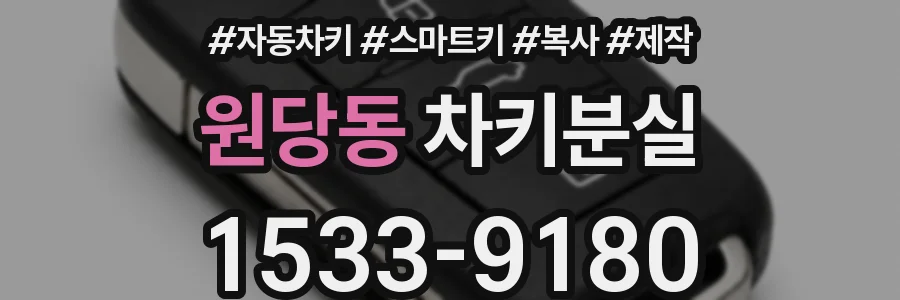 원당동 차키분실