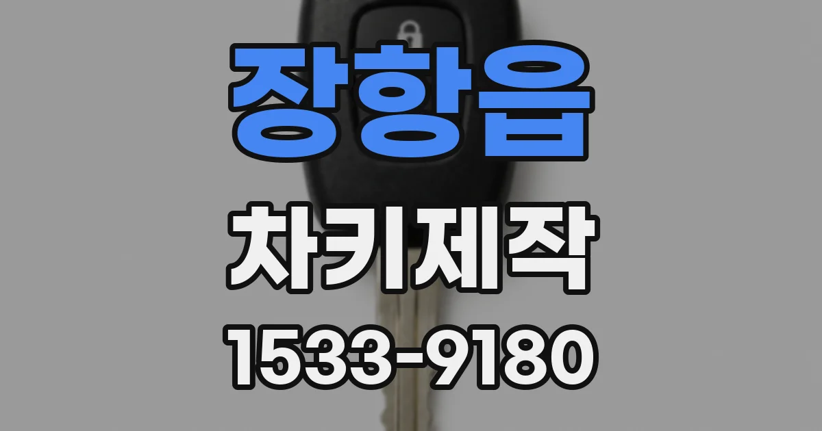 장항읍 차키제작