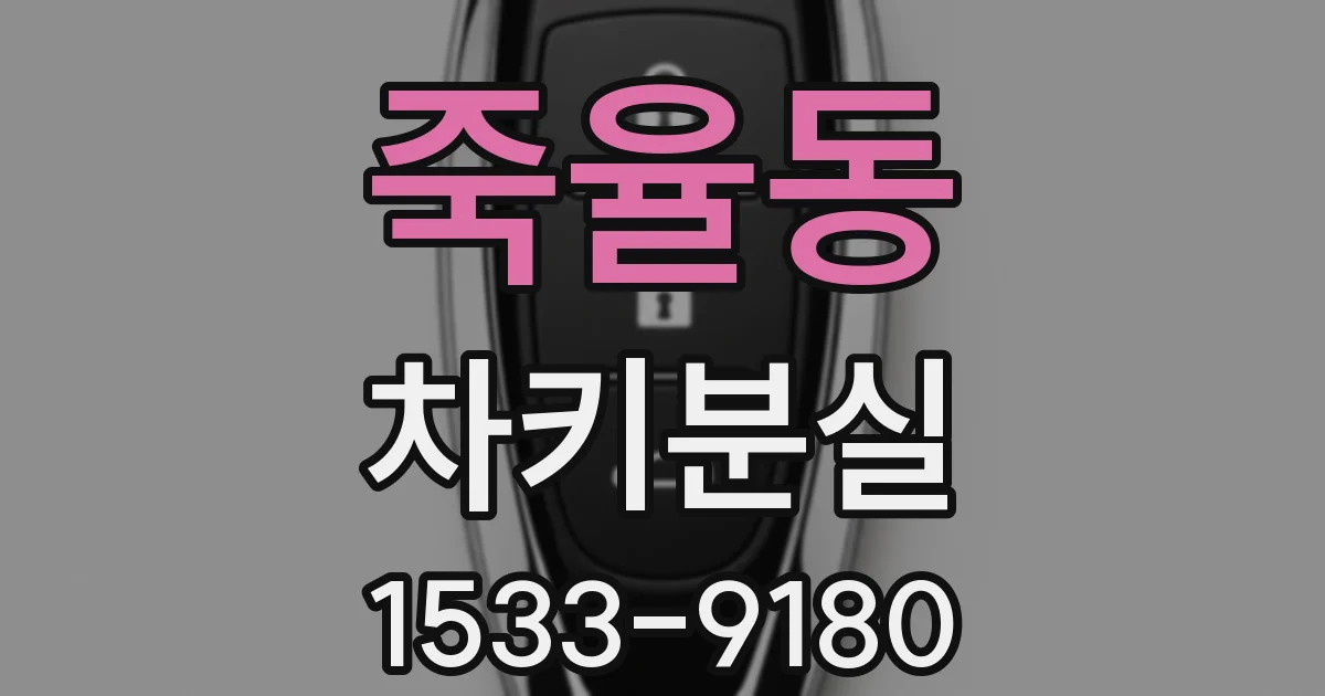 죽율동 차키분실