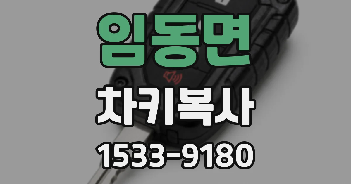 임동면 차키복사