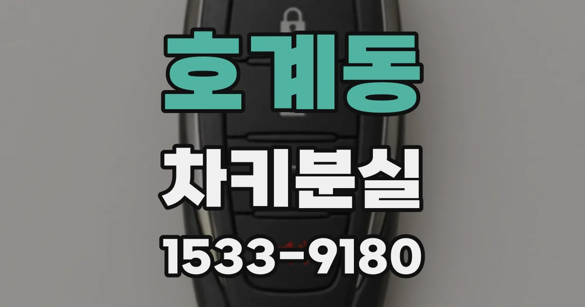 호계동 차키분실