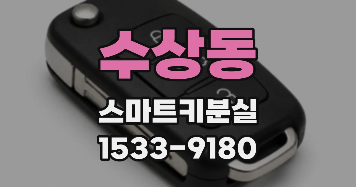 수상동 스마트키분실