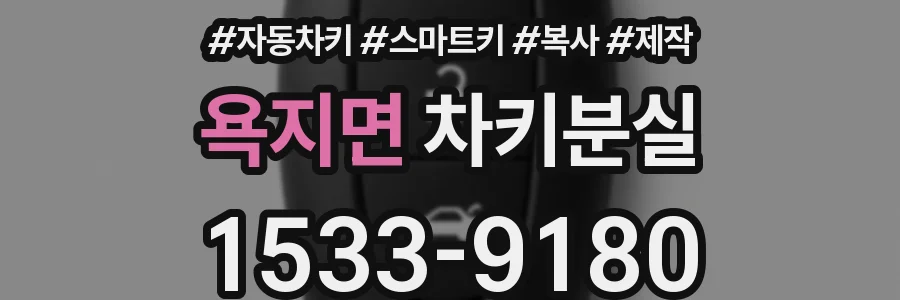 욕지면 차키분실