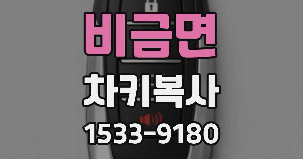 비금면 차키복사