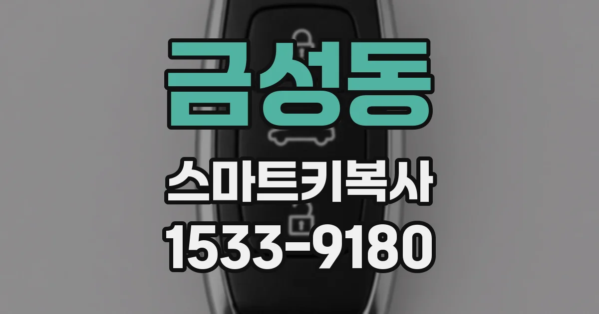 금성동 스마트키복사