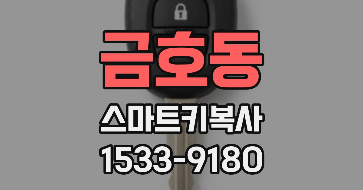 금호동 스마트키복사