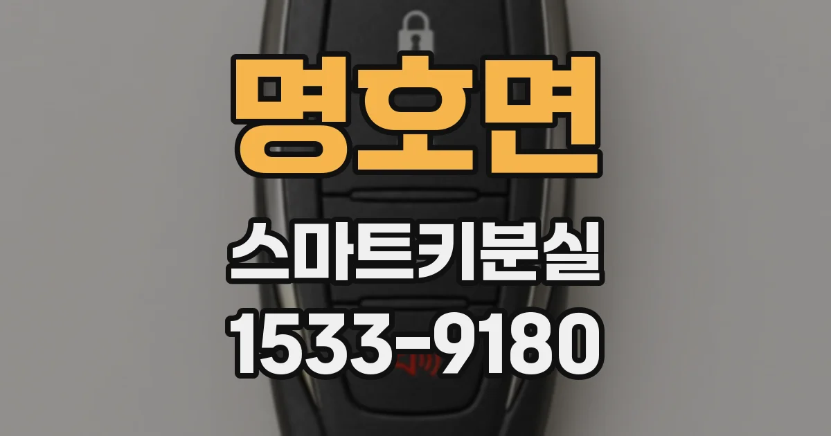 명호면 스마트키분실