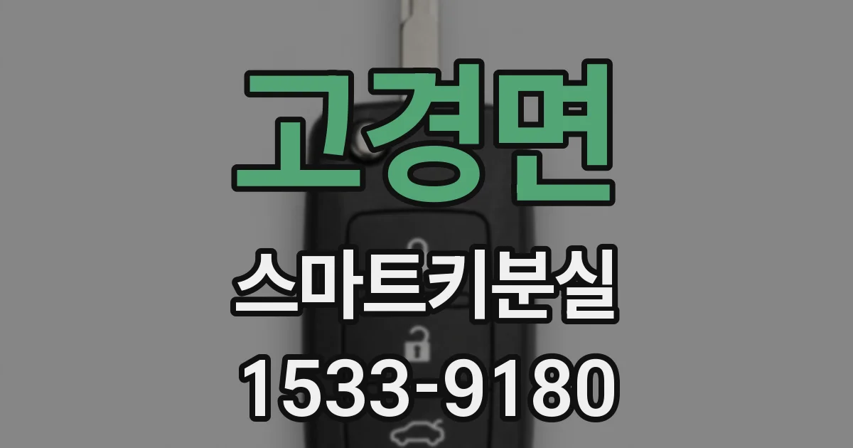 고경면 스마트키분실