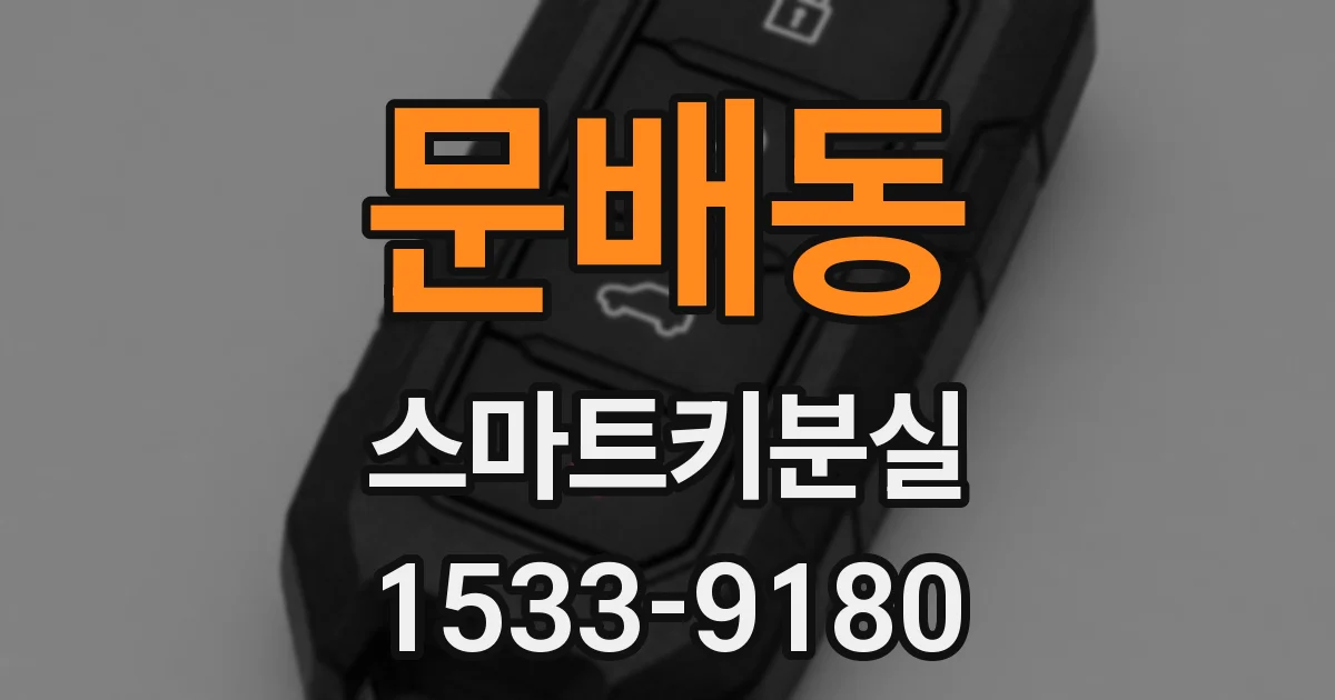 문배동 스마트키분실