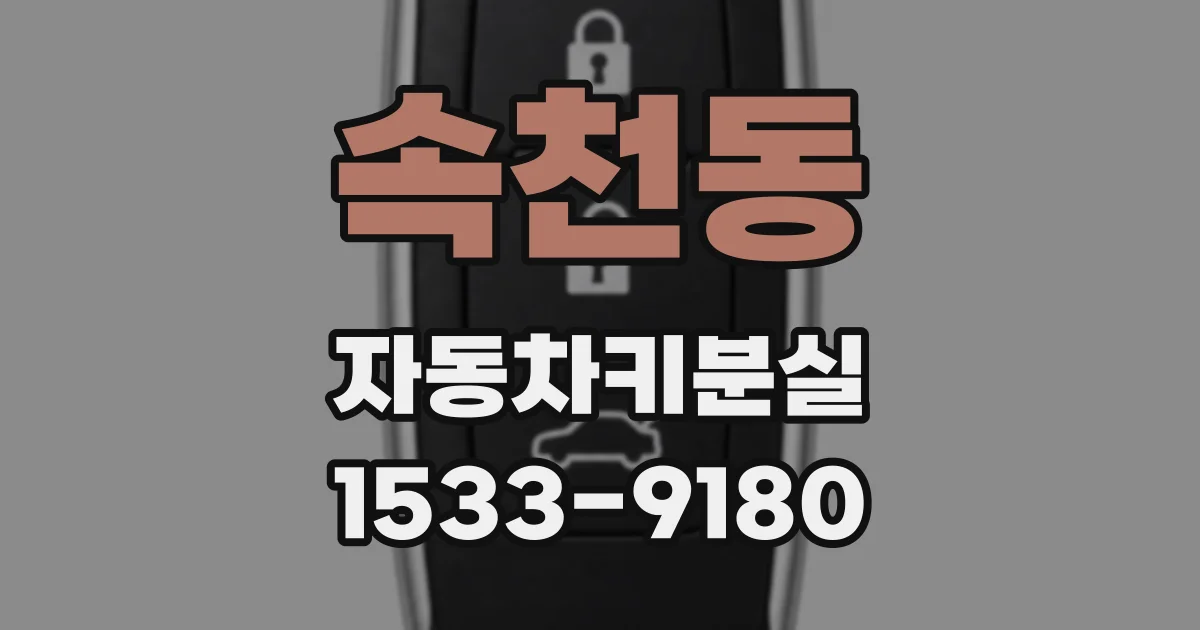속천동 자동차키분실