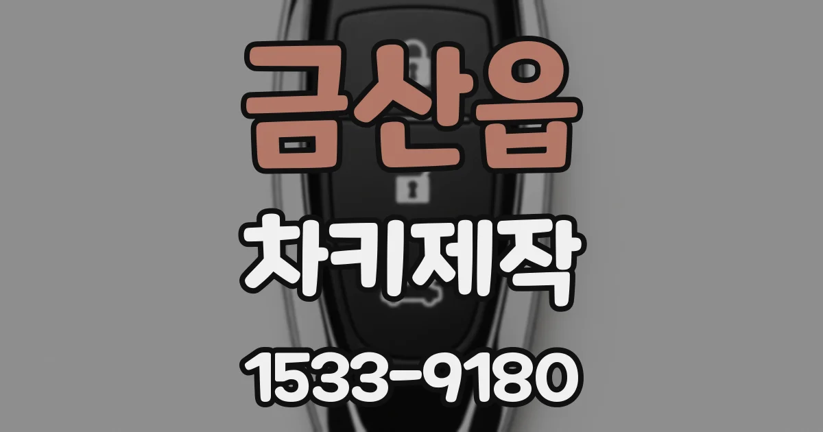 금산읍 차키제작