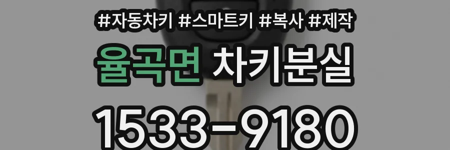 율곡면 차키분실