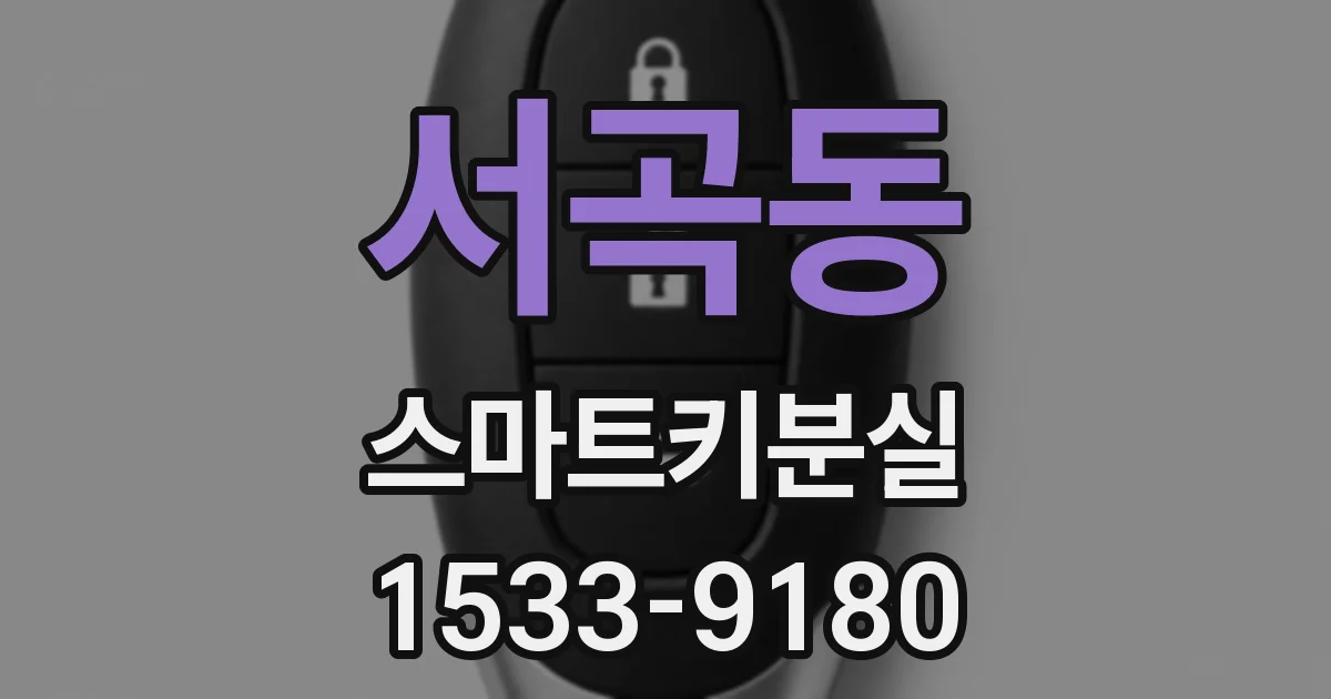서곡동 스마트키분실