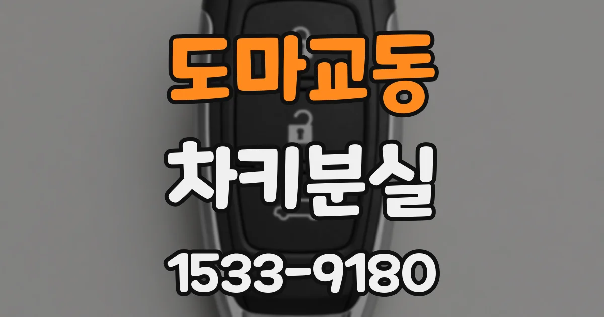 도마교동 차키분실