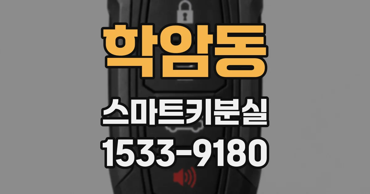 학암동 스마트키분실