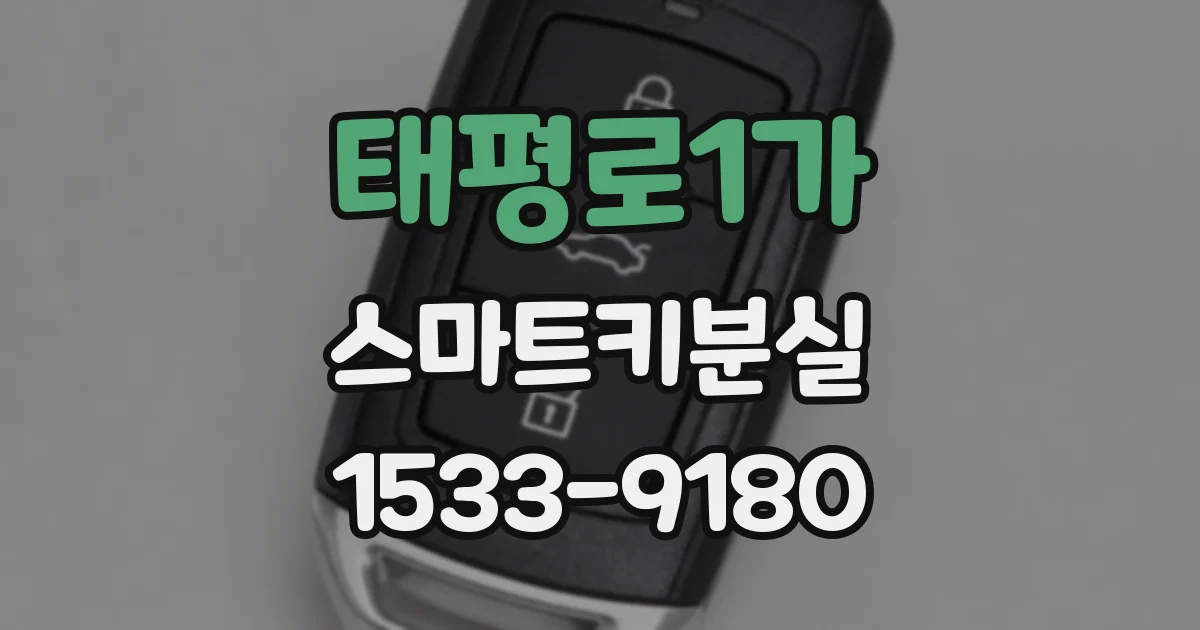 태평로1가 스마트키분실
