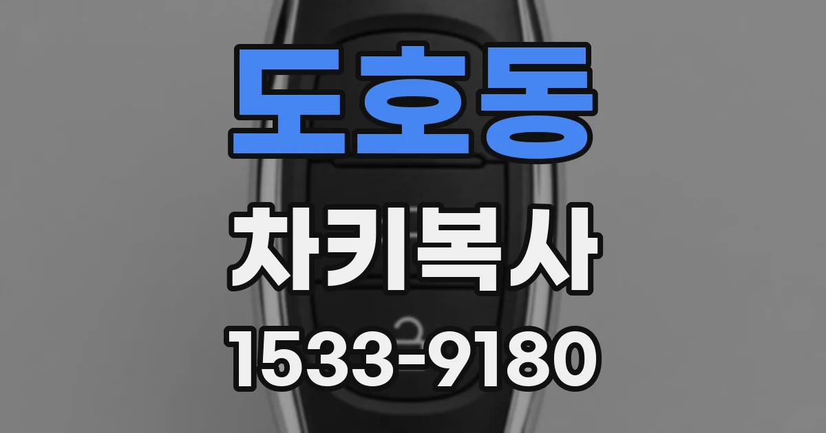 도호동 차키복사