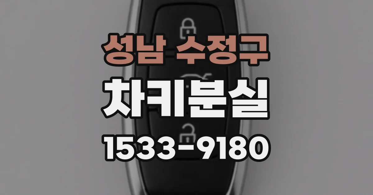 성남 수정구 차키분실