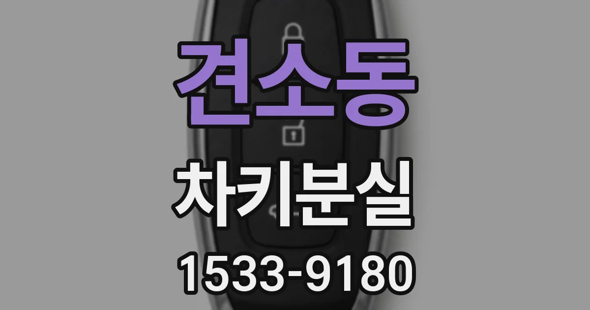 견소동 차키분실