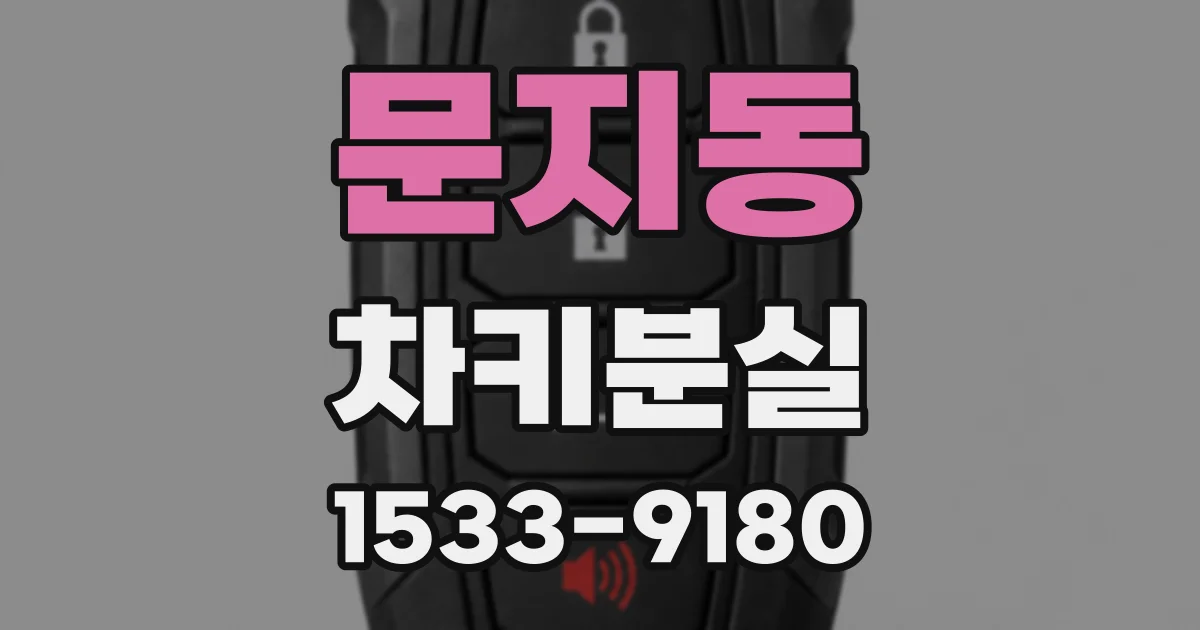 문지동 차키분실