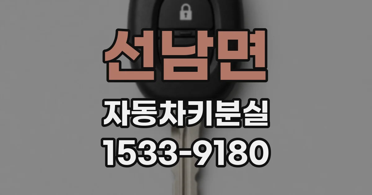 선남면 자동차키분실