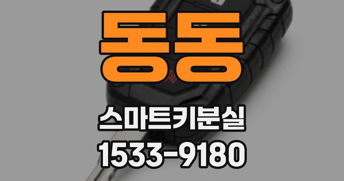 동동 스마트키분실