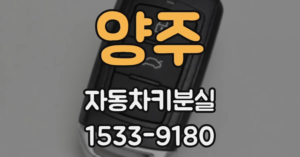 양주 자동차키분실