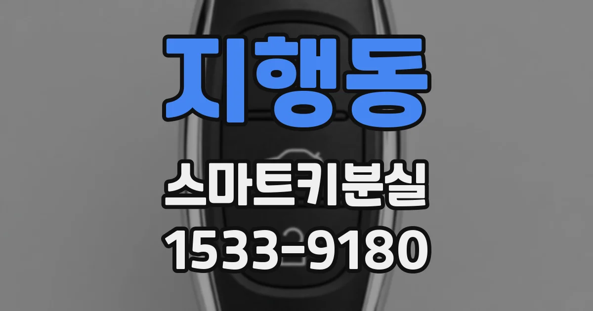 지행동 스마트키분실