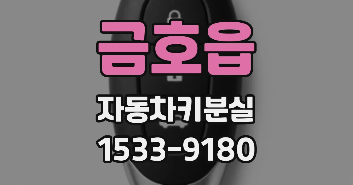 금호읍 자동차키분실
