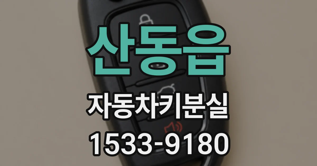산동읍 자동차키분실