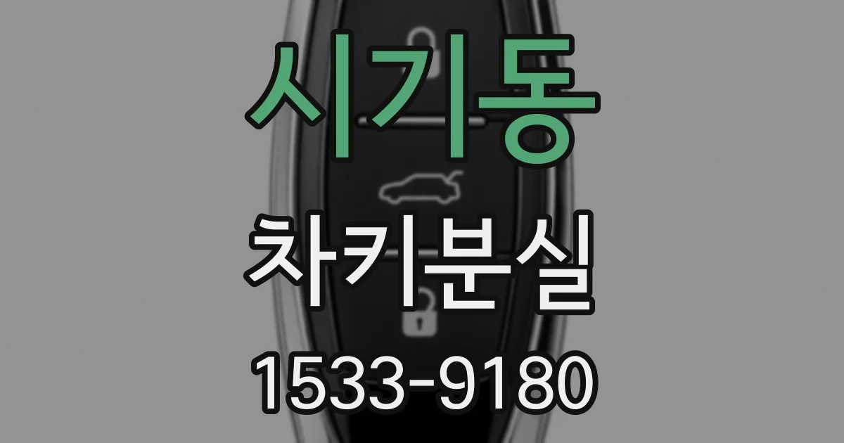 시기동 차키분실