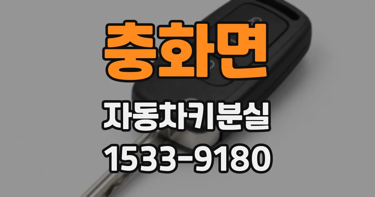 충화면 자동차키분실