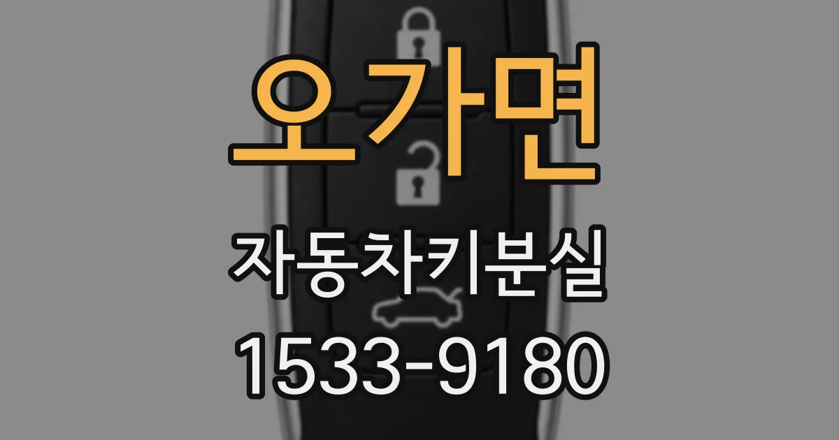 오가면 자동차키분실
