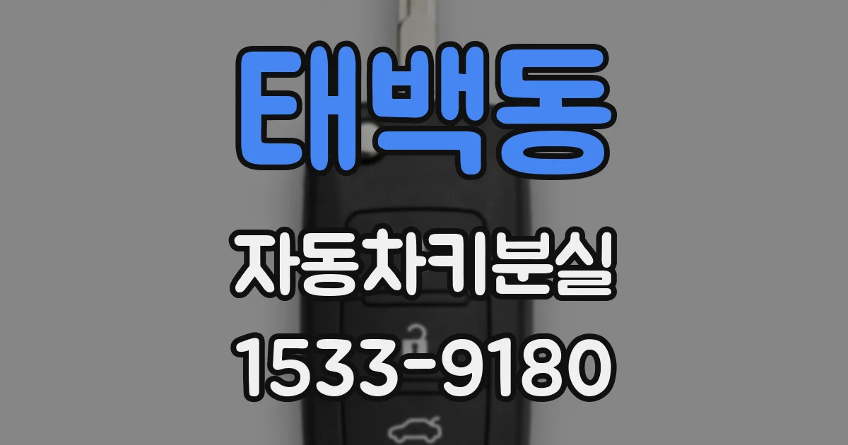 태백동 자동차키분실