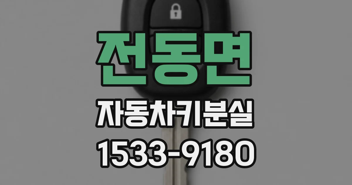 전동면 자동차키분실
