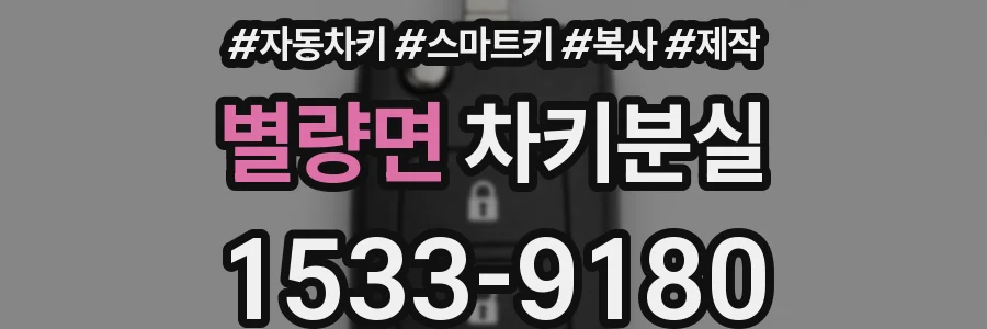 별량면 차키분실
