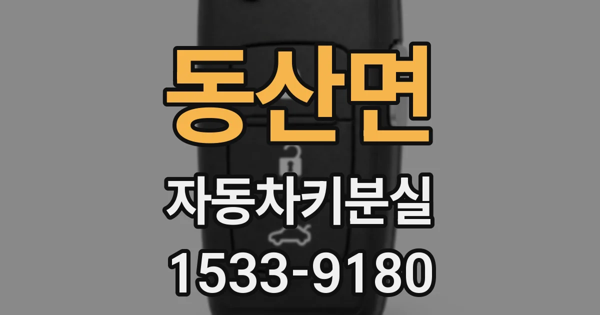 동산면 자동차키분실