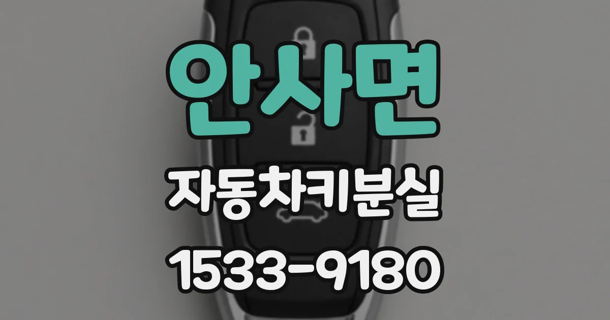 안사면 자동차키분실