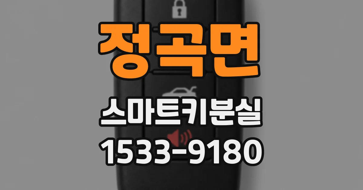 정곡면 스마트키분실