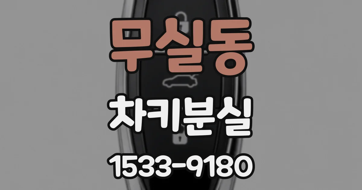무실동 차키분실