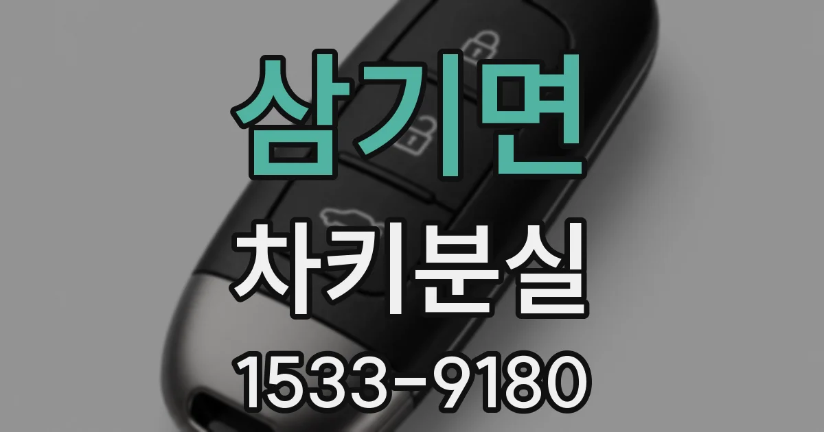 삼기면 차키분실