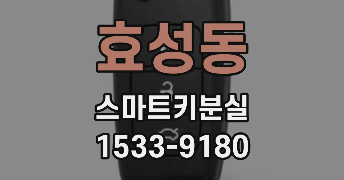 효성동 스마트키분실