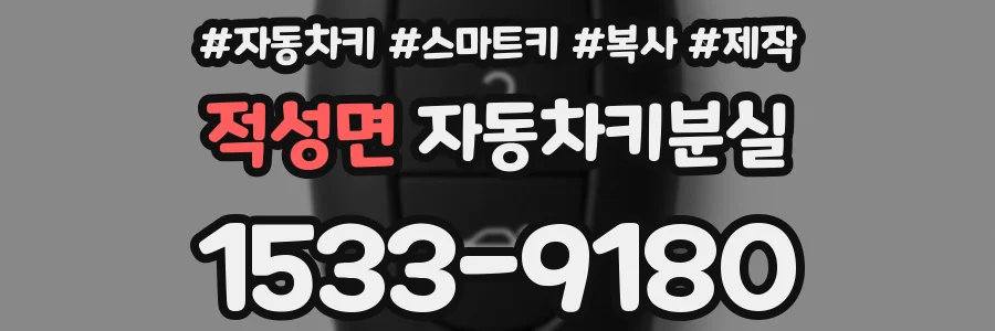 적성면 자동차키분실