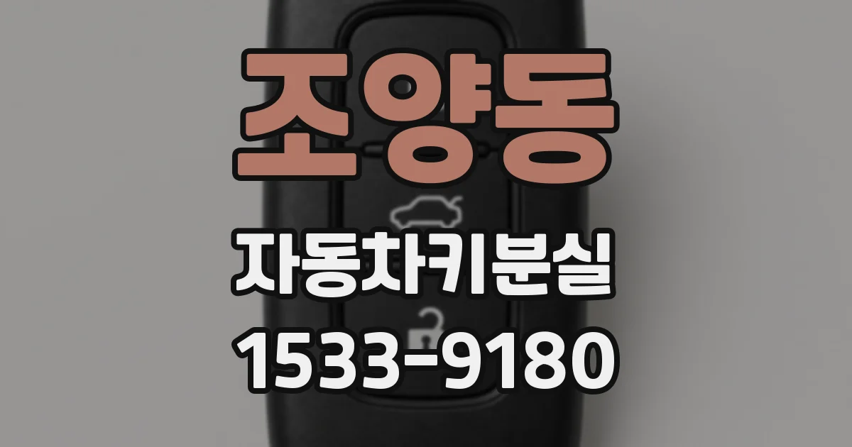 조양동 자동차키분실