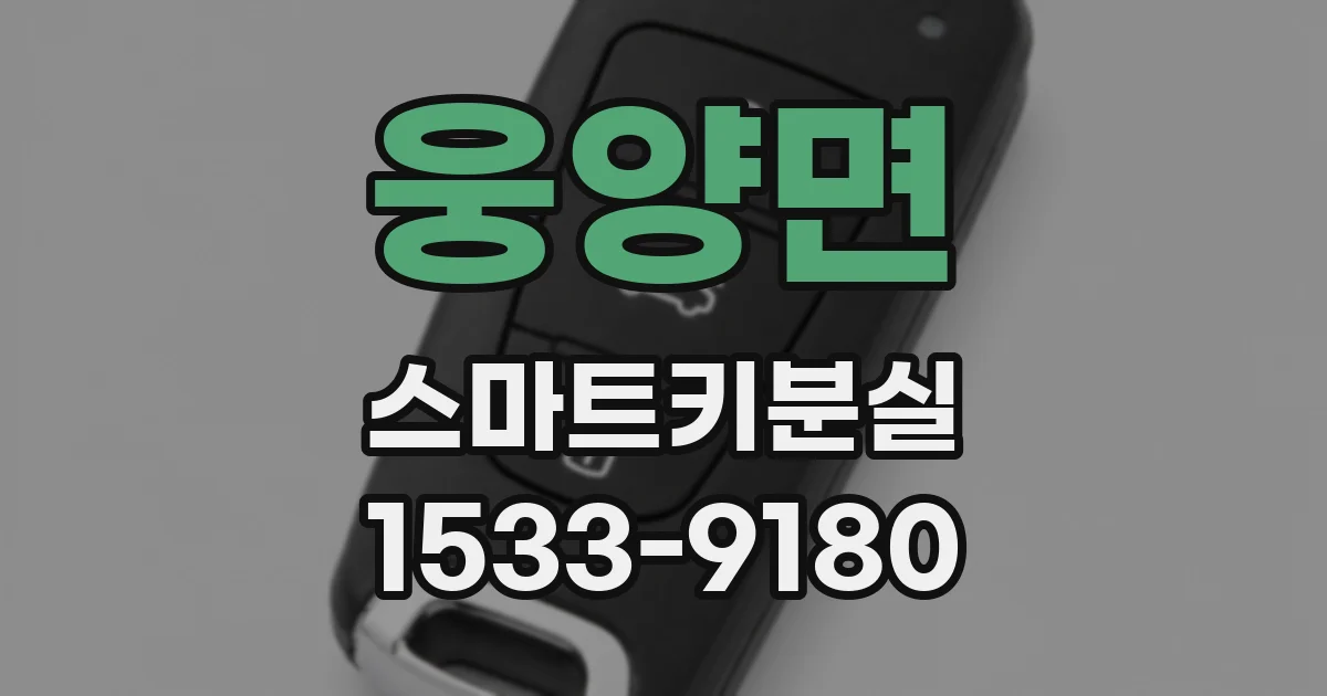 웅양면 스마트키분실
