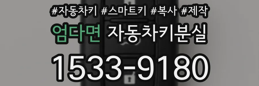 엄다면 자동차키분실